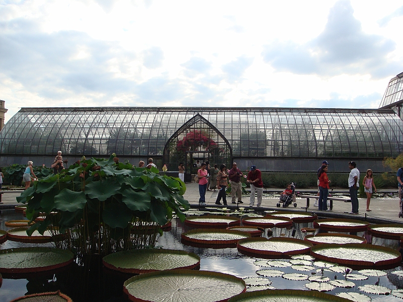290 Longwood Gardens [2008 August 23].JPG - Longwood Gardens in Pennsylvania